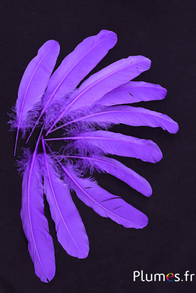 Oie - 15-21 cm - violet